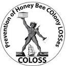 CATCH THE BUZZ- COLOSS Funding