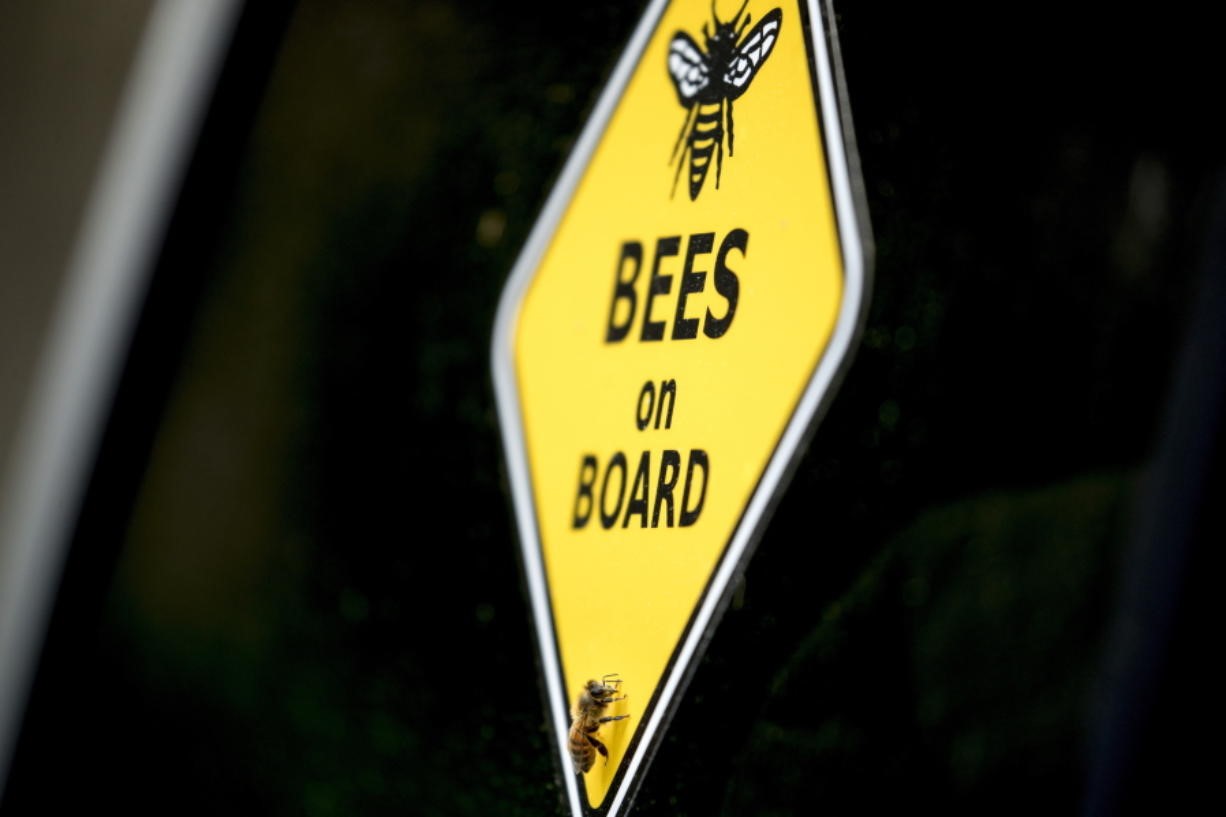 CATCH THE BUZZ – Beekeeping is an Essential Service