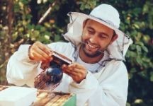 CATCH THE BUZZ – Healthy Summer Bees