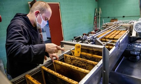 CATCH THE BUZZ – Monks at St. Gregory’s Abbey Prepare for Big Honey Harvest