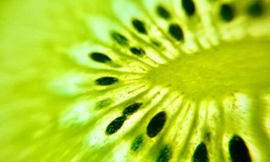CATCH THE BUZZ- Kiwifruit Pollination ‘Sweet Spot’