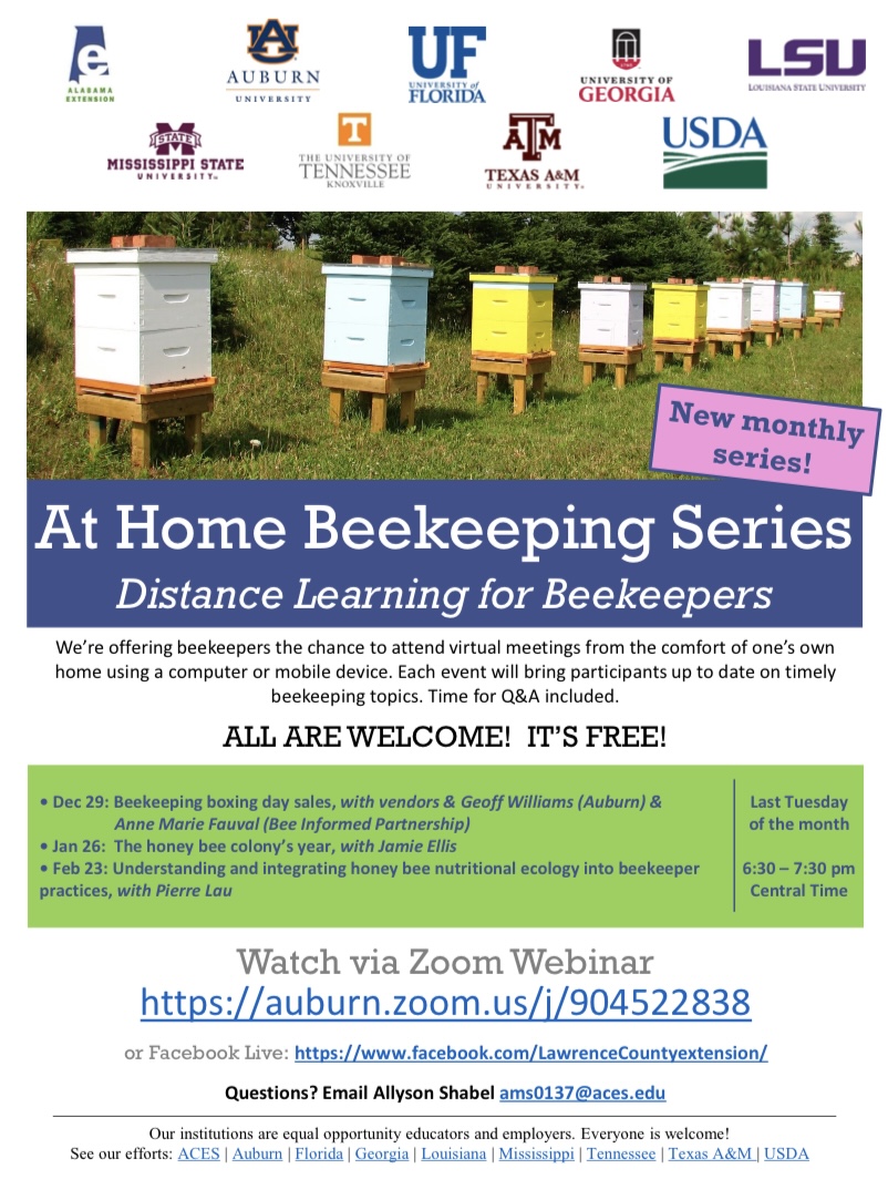 CATCH THE BUZZ – Beekeeping at Home Series, Tuesday Dec. 29th!