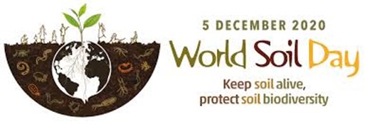 CATCH THE BUZZ – World Soil Day