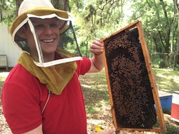 CATCH THE BUZZ- One Entomologists Quest in Florida