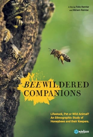 CATCH THE BUZZ- Beewildered Companions, Film