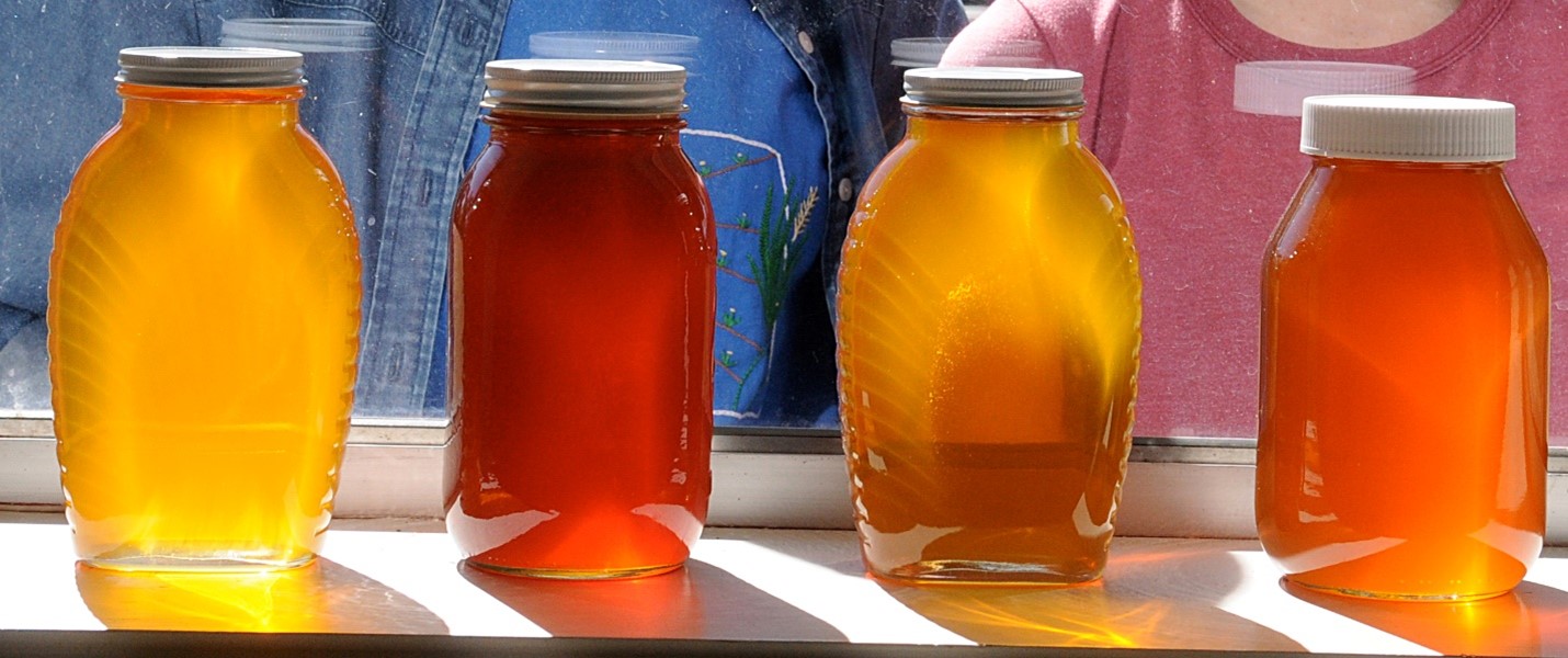 Honey Adulteration Symposium