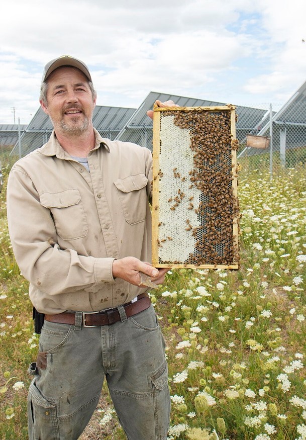 CATCH THE BUZZ- Drought may Hurt Honey Bees