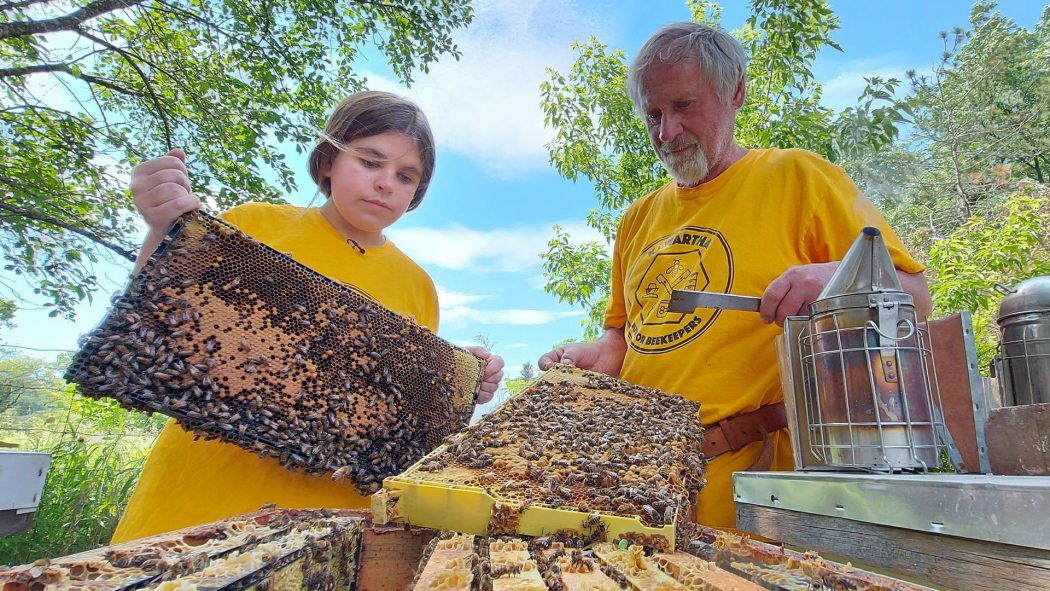 Beekeeping the old way, News