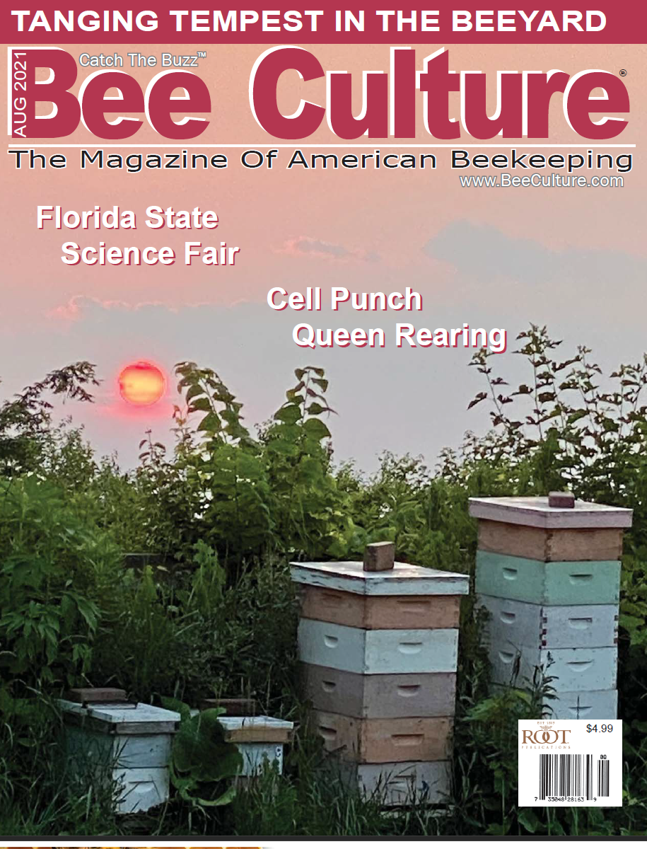 August 2021 Cover