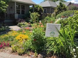 Adding Ecological Value to Your Lawn