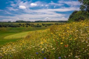 Golfers Join Pollinator Project