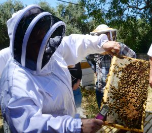 California Master Beekeeper Program