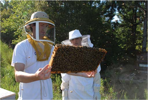Interview with a Beekeeper — Botanical Formulations