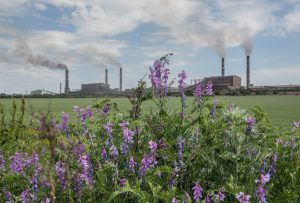 Air Pollution and Pollination
