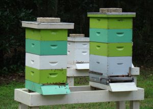 Hive Boxes Drafty and Inefficient.