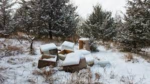 Vandals Destroy Beehives