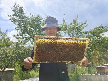 Digital Beekeeping in China