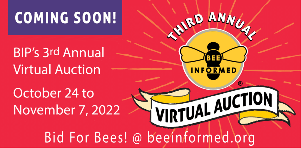 BIP’s 3rd Annual Virtual Auction