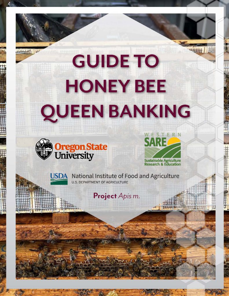 Guide to Queen Banking