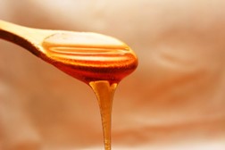 Plant Cell Based Honey