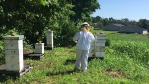 East Palestine, Ohio Beekeeper Toxin Concerns