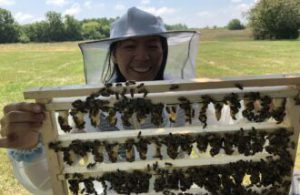 Improving Honey Bee Queen Quality and Diversity in Ohio