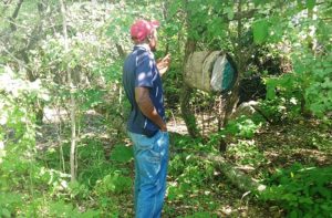 Beekeeping in Zimbabwe