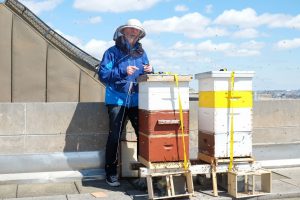 Brooklyn Beekeeping