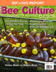 How bees make honey – GROW magazine