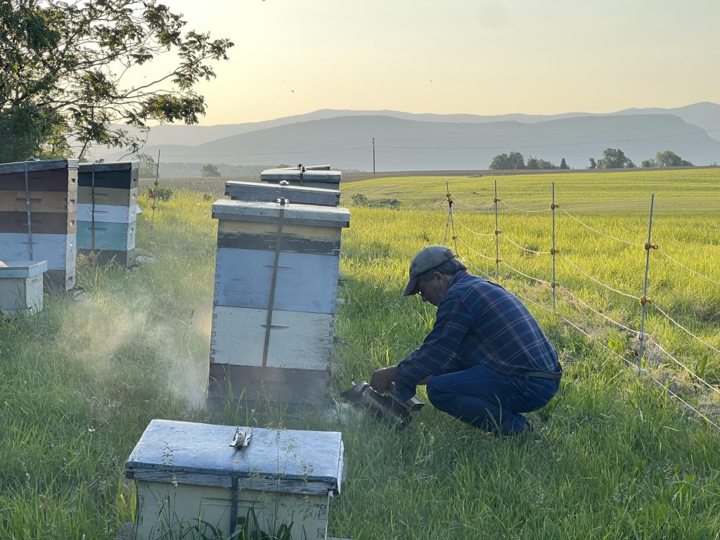 Interview with a Beekeeper — Botanical Formulations