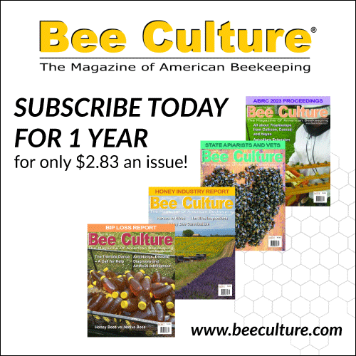 Beehive Buzz: Will the Manuka Plant Grow in Louisiana?