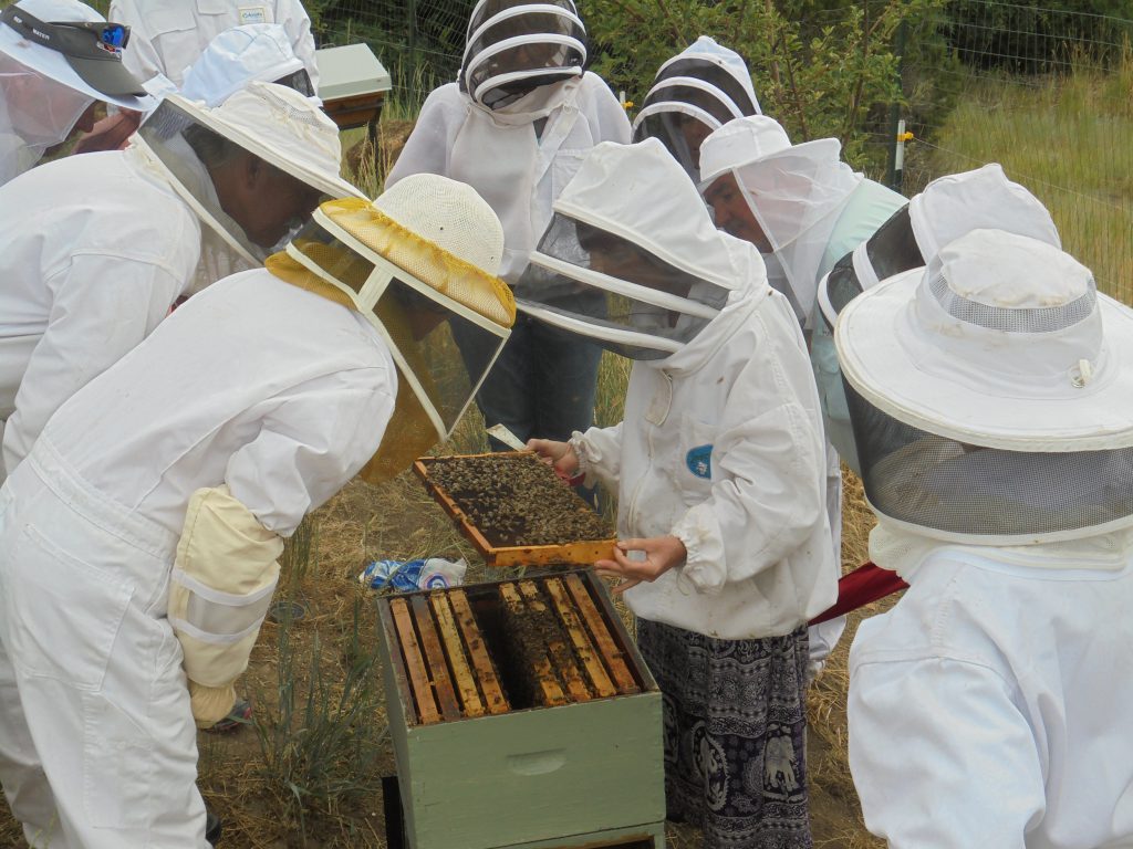 Beekeepers - What Does It Take To Be Successful - Bee Well Honey