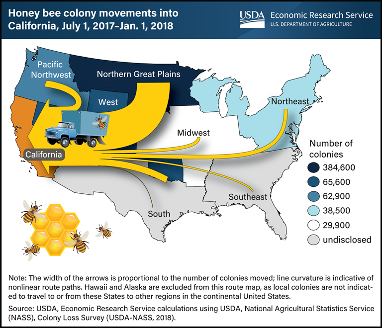 Honey Bee Colony Movements