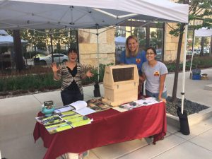 An Interview with Anne Turnham