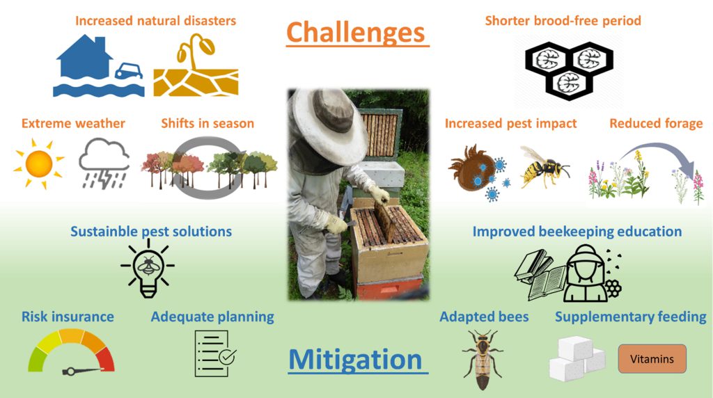 Beekeeping Under Climate Change