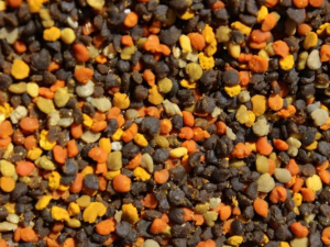 Penn State Pollen ID | Bee Tradition