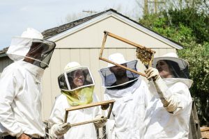 The Buzz on Beekeeping