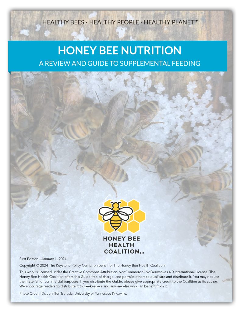 Honey Bee Nutrition Guide