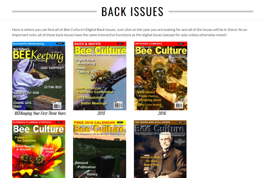 New Web site Function | Bee Tradition