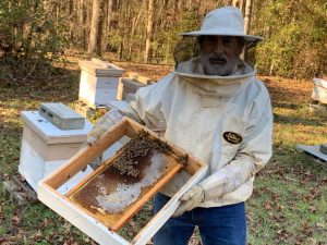 The Hopkins Means | Bee Tradition