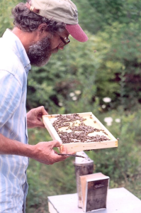 Again Backyard Beekeepers Speaker Tournament