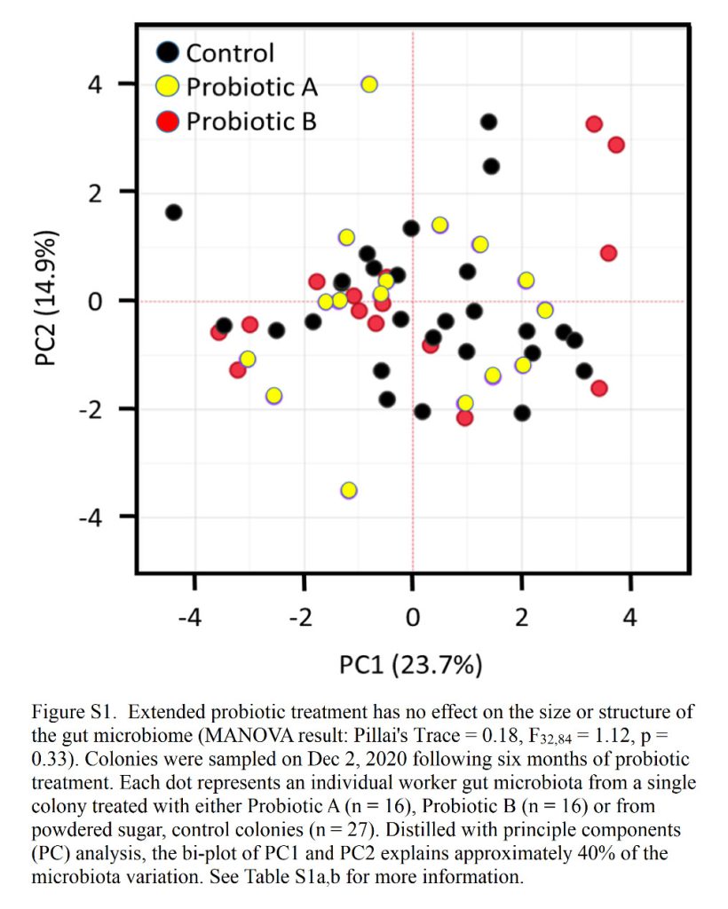 Working out New Analysis on Probiotics for Beekeepers