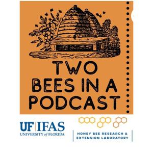 UF Two Bees in a Podcast