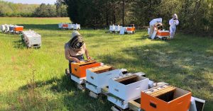 The 2023-2024 US Beekeeping Survey is Live!