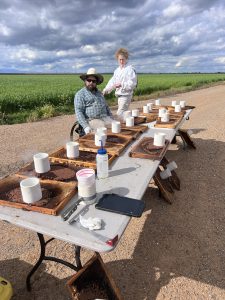 UC Davis Bee Well being Hub