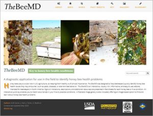 The Bee MD