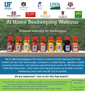 At House Beekeeping Webinar | Bee Tradition
