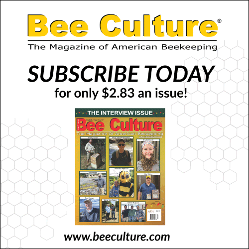 Bee Culture